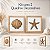 Kit 2 Quadros Náuticos Estrela e Concha Marrom em Madeira 25x25x3 cm - Imagem 2