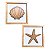 Kit 2 Quadros Náuticos Estrela e Concha Marrom em Madeira 25x25x3 cm - Imagem 3