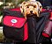 Cesta Bicicleta Cadeirinha Cão/gato Ate 10kg Transporte Pet - Imagem 3