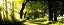 MEIO AMBIENTE - Imagem 1
