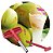 Furador de Coco Keita - Imagem 2