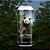 Cerveja Stormy - Giant Panda - (DOUBLE WEST COAST IPA) - Imagem 1