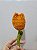 Tulipa de crochê - Individual - Imagem 4