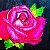 Véu De Seda  Pintado Rosas - Imagem 4