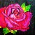 Véu De Seda  Pintado Rosas - Imagem 7