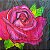 Véu De Seda  Pintado Rosas - Imagem 5