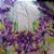 Orquídeas Estilizadas - Imagem 7