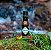 Molho de Pimenta Premium - Chipotle 200ml - Imagem 5