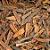 Canela Jawa Quebrada (Vietnã) 1% Óleo Importada - 25kg - Imagem 1
