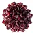 Cranberry Inteiro Chileno Importado (OCEAN SRAY) -11,34KG - Imagem 1