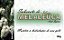 Sabonete de Melaleuca 90gr - Bionature - Imagem 1