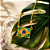 ✨ TÍTULO ✨ Colarzinho da Copa em Pedras Naturais 🇧🇷💚 Beleza, energia e significado para torcer brilhando! - Imagem 1
