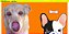 canecas personalizadas - Tema Pet - Imagem 10