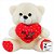 URSO CORAÇÃO 20 CM PELUCIA DIVERSOS - Imagem 3