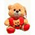 URSO CORAÇÃO 20 CM PELUCIA DIVERSOS - Imagem 4