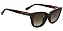 Armação Óculos Grau Clipon Love Moschino Mol071cs Havana 53 - Imagem 2