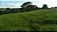 Chácara - Anicuns - 05 alqueires - Imagem 7