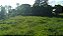 Chácara - Anicuns - 05 alqueires - Imagem 8