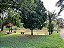 Chácara - Aragoiânia - 03 alqueires - Imagem 3