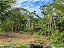 Chácara - Aragoiânia - 03 alqueires - Imagem 5