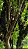 Chácara  Aragoiânia - 04 alqueires - Imagem 2