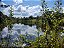 Fazenda - Aragoiânia: 10 alqueires - Imagem 3