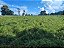 Fazenda - Aragoiânia: 10 alqueires - Imagem 5