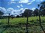 Fazenda - Aragoiânia: 10 alqueires - Imagem 6