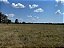 FAZENDA  EM ARUANÃ: 400 alqueires. - Imagem 6