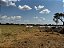 FAZENDA  EM ARUANÃ: 400 alqueires. - Imagem 7