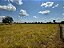 FAZENDA  EM ARUANÃ: 400 alqueires. - Imagem 8
