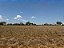 FAZENDA  EM ARUANÃ: 400 alqueires. - Imagem 12