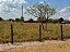 FAZENDA  EM ARUANÃ: 400 alqueires. - Imagem 15