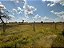 FAZENDA  EM ARUANÃ: 400 alqueires. - Imagem 18