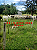 Fazenda  - Faina : 40 alqueires - Imagem 1