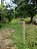 Fazenda  - Faina : 40 alqueires - Imagem 6