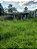 Fazenda -  Faina  - 40 alqs - Imagem 13