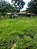 Fazenda -  Faina  - 40 alqs - Imagem 11