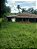 Fazenda -  Faina  - 40 alqs - Imagem 9
