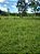 Fazenda -  Faina  - 40 alqs - Imagem 8