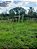 Fazenda -  Faina  - 40 alqs - Imagem 7