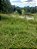 Fazenda -  Faina  - 40 alqs - Imagem 5