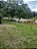 Fazenda -  Faina  - 40 alqs - Imagem 4