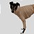 CACHARREL DE GALGO ITALIANO UV POPSTAR BEGE - Imagem 3
