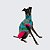 VESTIDO DE GALGO ITALIANO UV BELLA - Imagem 2