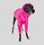 BLUSA DE GALGO ITALIANO CHAMONIX PINK - Imagem 4