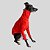 CACHARREL DE GALGO ITALIANO MESH LARANJA - Imagem 4