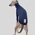 CACHARREL DE GALGO ITALIANO RIBANA PONTINHOS - Imagem 4