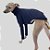 CACHARREL DE GALGO ITALIANO RIBANA PONTINHOS - Imagem 2