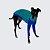 CACHARREL DE GALGO ITALIANO UV CAVALO MARINHO - Imagem 1